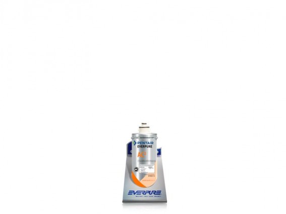 AC2 Everpure Wasserfilter für Kaltgetränke, Tafelwasser, Wasserspender