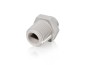 Preview: Einschraub Verbinder 1/4" x 1/2" AG BSPT