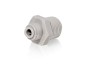 Preview: Einschraub Verbinder 1/4" x 1/2" AG NPTF