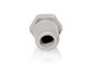 Preview: Einschraub Verbinder 1/4" x 1/2" AG NPTF