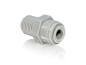 Preview: Einschraub Verbinder 1/4" x 1/4" AG BSPT
