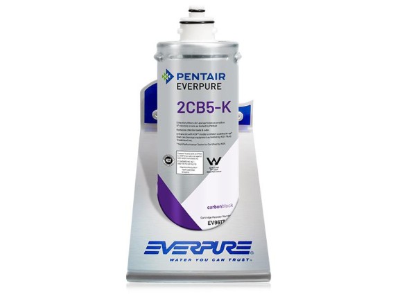 EV9617-06 Everpure 2CB5K Wasserfilter für Eiswürfel