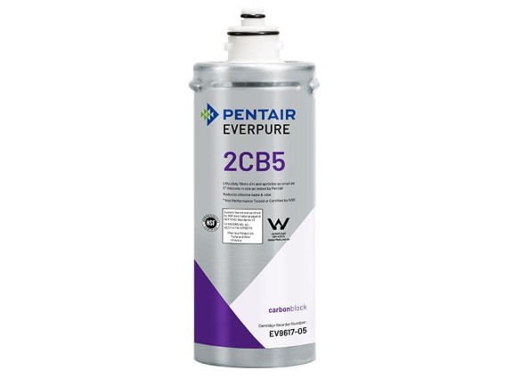 EV9617-05 Everpure 2CB5 Wasserfilter Blockfilter für Kaltgetränke
