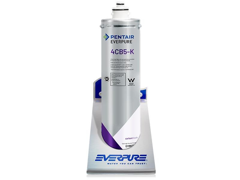 EV9617-36 Everpure 4CB5K Wasserfilter für Eiswürfel