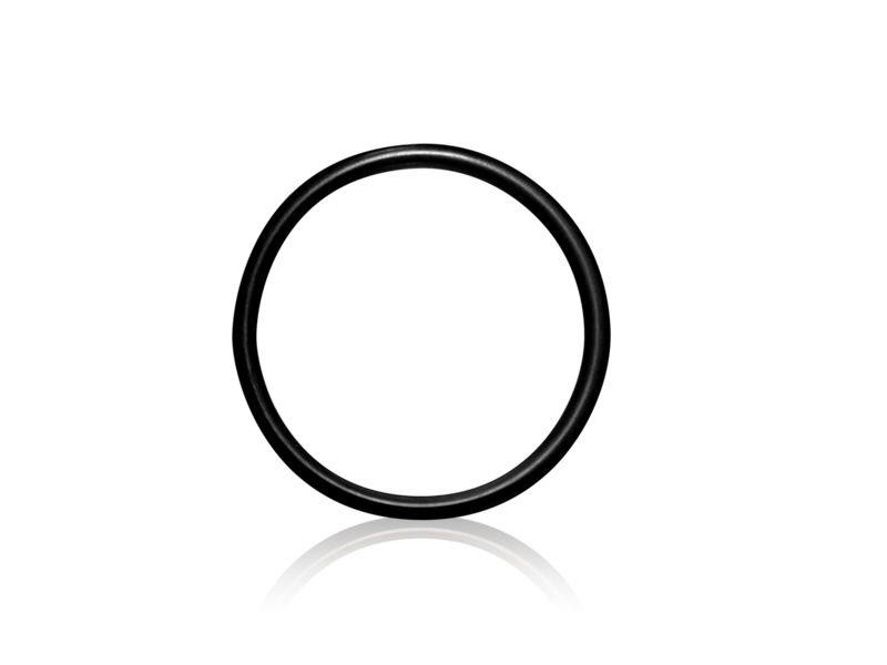 Everpure O-Ring für SR-X E10 E20 Filterkopf schwarz